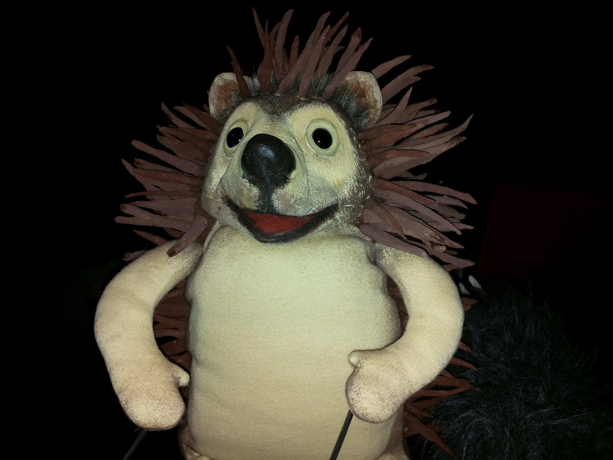 Eine Igel-Handpuppe schaut den Betrachter an.