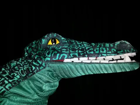 Eine Krokodil-Handpuppe vor schwarzem Hintergrund