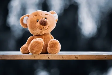 ein Teddybär sitzt auf einem Brett